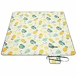 SONGMICS Picknickdecke, 200 x 200 cm große Stranddecke, Campingdecke, wasserdichte Unterseite, maschinenwaschbar, faltbar, für Garten, Park, Strand, Camping, Ananas-Muster GCM087Y01