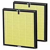 AP303 AP304 Filter Ersatz für Dayette AP303/AP304 Luftreiniger, 3-in-1 H14 True HEPA Hocheffizienter Aktivkohle Luftfilter Ersatz Haustier Ersatzfilter (2 Stück)
