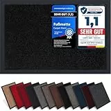 Carpet Diem Fußmatte, einfach sauber I Schmutzfangmatte Eingangsbereich - Fussmatte Innen & Außen, rutschfeste Türmatte, Schmutzfang Teppich für Haustür I Fußabtreter in Schwarz 60x90 cm