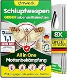 anwerk® Schlupfwespen gegen Lebensmittelmotten - 8 Karten à 1 Lieferung - Effektiv Lebensmittel Motten bekämpfen - Alternative zur Mottenfalle, Mottenspray, Pheromonfalle (8X Karten à 1 Lieferung)