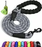 Taglory Hundeleine mit bequemen gepolsterten Griff, robuste Hundeleine zum Trainieren und Gassi gehen, 180×1.2cm Reflektierend Führleine aus weichem Nylon für große Hunde, grau