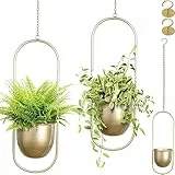 AceList Boho-Hänge-Pflanzgefäß für Zimmerpflanzen – Set mit 2 goldfarbenen Metall-Wand-Pflanzgefäßen mit Haken und Kinnn, Pflanzenaufhänger, Dekoration für Fenster und Terrasse, geeignet zum Aufhängen