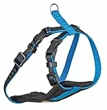 Kerbl Pet Geschirr für kleine Hunde S, neon blau