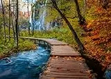 Ravensburger Puzzle 12001764 - Herbstlicher Waldweg, Beautiful Walkways Collection, 1000 Teile Puzzle für Naturliebhaber und Wanderfreunde ab 14 Jahren