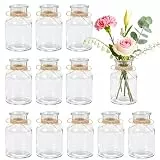 BTSD-home 12 Stück Blumenvase Kleine Vasen für Tischdeko 125ml Glasvase Ideal für Hochzeitsdeko Party Home Deko