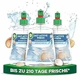 Air Wick Active Fresh – Aeorosolfreier, automatischer Lufterfrischer – Raumduft Meeresbrise – 3 x 228 ml Nachfüller