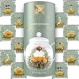Teabloom Teeblumen Sortiment – 12 Sorten Blumentee in Eleganter Geschenk Teebox – 36 Aufgüsse (Jasmin)