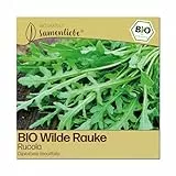 Samenliebe BIO Wilde Rauke Samen | Rucola - winterhart & mehrjährig - samenfestes BIO Saatgut