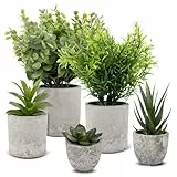 5 Stück Kunstpflanzen wie Echt, Künstliche Pflanzen Klein, Dekopflanzen, Kunst Pflanzen Künstlich Sukkulenten, Fake Plant, Plastikpflanzen, Schlangenzunge, Eagle Claw Aloe, Eukalyptus für Schlafzimmer