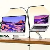 iZELL 77 LED Schreibtischlampe Dimmbar - 【3 Farbtemperaturen & 10 Helligkeitsstufen】 70cm Flexiblem Schwanenhals mit Schwenkclip, Klemmleuchte, Bürolampe, Arbeitslampe für Home Office/Büro