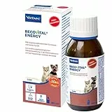 Virbac RecoVital Energy | 180 ml | Diät-Ergänzungsfuttermittel für Katzen und kleine Hunde | Zur ernährungsphysiologischen Wiederherstellung und in der Rekonvaleszenz
