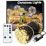 ARKOCHIC 100M Lichterkette außen, 1000 warmweiß LED Lichterkette Weihnachtsbaum außen innen mit Fernbedienung,8 Modi wasserdicht Weihnachtsbeleuchtung aussen für Garten Balkon Hochzeit Icicle
