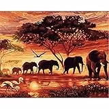 XINRANFF Malen Nach Zahlen Erwachsene Kinder Anfänger, Malen Nach Zahlen Tiere Elefant DIY Handgemalt Ölgemälde auf Leinwand mit Farbe und Pinsel für Home Deko Geburtstag Weihnachten Geschenk, 40x50cm