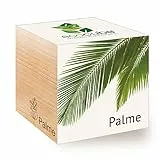 Feel Green Ecocube Palme, Nachhaltige Geschenkidee (100% Eco Friendly), Grow Your Own/Anzuchtset, Pflanzen Im Holzwürfel, Made in Austria