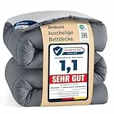BEDSURE Bettdecke 135x200 Ganzjahresdecke Steppdecke - Bettdecke Ohne Bezug 135x200cm 300GSM - 4 Jahreszeiten Bettdecken Wende Grau/Hellgrau, Weiche Warm Duvet Schlafdecke für Allergiker