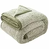 EMME Sherpa-Decke, Queen-Size-Größe, ultraweiche, warme Bettdecke, Mikrofaser, gemütliche Decke für Bett, Sofa, leicht, flauschig, Dicke, wendbar, Couchdecke, Salbei, 152,4 x 203,2 cm