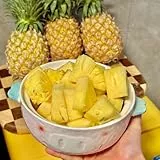 ananas, alte sorten obstbäume kaufen garten exotische obstbaum zwergobstbäume winterhart obstgarten steingartenpflanzen 25pcs