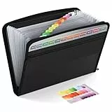 ThinkTex Dokumentenmappe A4, 13 Fächern Fächermappe mit Reißverschluss, Tragbarer Dokumentenmappe A4 Ordnersystem für Zuhause und Büro für Dokumente und Akten