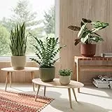 Artevasi Blumentopf Miami Wavy 16cm Anthrazit – eleganter Übertopf mit Wellenstruktur, mattem Finish – ideal als Pflanzkübel für Moderne Räume