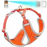 ThinkPet Hundegeschirr, reflektierend, atmungsaktiv, weiches Air-Mesh mit QR-Code, Hundemarke, Erstickungsfrei, für Welpen, kleine, mittelgroße Hunde und Katzen, Größe S, Orange