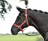 Halfter HANSA