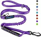 IOKHEIRA Hundeleine, verstellbare Leine (1,2 bis 1,5 m) mit Sicherheitsgurt für Hunde, komfortabler gepolsterter Griff und reflektierende Fäden