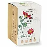 Feel Green ecoblock Schokoladenblume, Nachhaltige Geschenkidee (100% Eco Friendly), Grow Your Own/Anzuchtset, Pflanzen im Holzblock, Made in Austria