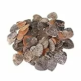 LUOEM Holzherzen Zum Aufhängen 80 Stück Herzförmige Holzscheiben Unbehandelt Für Hochzeit Deko Diy Holzornament Basteln