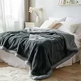Bedding Aid Fleckenfreie wasserdichte Decke – Wendbares Sherpa-Fleece, Wasser- und fleckenabweisend, perfekt für Paare und Spritzschutz (Charcoal Grau/Silber Grau, Doppelbettdecke)