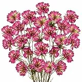 Arborus 5 Stück Herbst Kunstblumen wie echt 71CM Herbstzweige Künstlich mit Blüten Künstliche Kosmos Äste und Zweige Deko Künstliche Blumen für Blumenarrangement Vase Büro Hochzeit Zimmer Herbst Deko