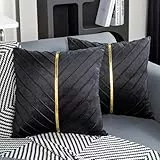 Jayusaror Kissenbezug 50x50 Samt Schwarz Dekokissen Gold Zierkissenbezug Deko Kissen Kissenhülle Weiche Kissenbezüge Moderne Zierkissen Bezug für Sofa Couch Schlafzimmer Wohnzimmer 2er Set
