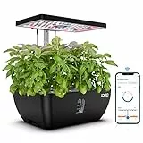 iDOO WiFi Hydroponisches Anzuchtsystem, 12Pods Smart Garden mit LED-Pflanzenlampe, 6,5L Wasserbehälter, Ventilator, Indoor Kräutergarten Kit, Höhenverstellbar