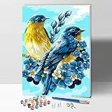 Hiolife Malen nach Zahlen für Kinder & Erwachsene & Anfänger, DIY-Acryl-Malerei-Geschenk-Kits, 30,5 x 40,6 cm Vögel – mit Rahmen