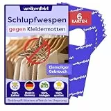 Wolkenfeld Schlupfwespen gegen Kleidermotten – 6 Karte à 1 Lieferungen – Effektive Bekämpfung von Kleider-Motten – Natürliche Alternative zu Mottenfallen, Mottenspray & Pheromonfallen