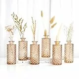 Winter Shore Bernsteinfarbene Diamant-Vasen Deko (6er-Pack) - Knospen Deko Vasen Set - Vintage Vase Glas für Blumen, Pampasgras - Geprägte Rustikale Kleine Vasen für Tischdeko, Hochzeit, Tafelaufsatz