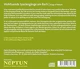 Die 30 besten Kinderturnlieder (Spiel- und Sportlieder zum Mitsingen)