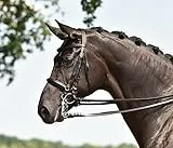 BUSSE Kandare FREETIME, schwarz, Stirnband: Strass-schwarz, Vollblut
