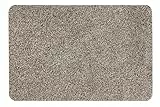 andiamo Fußmatte Samson – waschbare Fussmatte innen – rutschfeste und saugfähige Schmutzfangmatte aus Baumwolle – pflegeleichte Türmatte 50 x 80 cm cm, Granit