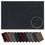Carpet Diem Fußmatte innen, große Auswahl, Größe: 40x60 cm, Farbe: anthrazit - Halten Sie Ihr Zuhause sauber mit unserer Schmutzfangmatte