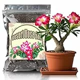 GOTVUGE Bio Blumenerde-Mischung für Wüstenrose - 100% natürlich & nährstoffreich - Speziell entwickelte Pflanzenerde für gesundes Wachstum (2 Liter)