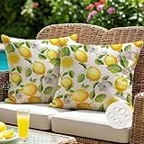 ViaElayu Outdoor Kissenbezug 45x45 cm Gelb Zitronen Kissenhüllen Outdoor Kissen Wetterfest Sofakissen Dekokissen Gartenkissen Couchkissen Frühling Sommer Deko für Wohnzimmer Bank Terrasse 2er Set