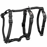 Trixie Stay Geschirr, Größe M/L, 50-75cm/20mm schwarz