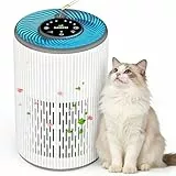 DAYETTE Tragbarer Luftreiniger für Allergiker mit Duftschwamm und blauem Nachtlicht, Timer, Ruhemodus (20 dB), HEPA-Luftfilter gegen Schimmel, Staub, Pollen, Gerüche, Tierhaare