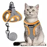 FAYOGOO Katzengeschirr mit Leine Klettverschluss ausbruchsicher Geschirr für Katzen große Katze Maine Coon BKH verstellbares Brustgeschirr weich gepolstert Softgeschirr Set