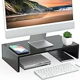 FITUEYES Monitorständer Bildschirmständer aus Holz Ergonomischem Laptop-Druckerständer für Monitor Laptop Drucker Fernseher 42,5x23,5x10cm Schwarz DT104201WB