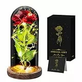 Seachrgif Ewige Rose,Rose im Glas mit licht,Muttertagsgeschenk für Mama Geschenke für Frauen,Oma Freundin,Frau,Ehefrau,Junge Frauen,Schwiegermutter, Schwester Geschenk Muttertag Geburtstagsgeschenk