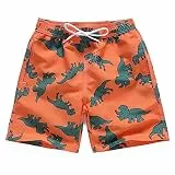 FedMois Jungen Badeshorts Schnelltrocknend Kinder Badehose Schwimmshorts, Dinosaurier, 3-4 Jahre (Gr. 104/110)