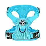 PoyPet Reflektierendes, weiches, atmungsaktives Hundegeschirr aus Mesh, erstickungsfreie, doppelt gepolsterte Weste mit verstellbarem Hals und Brust(Blau,M)