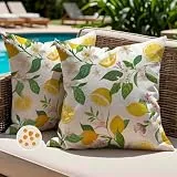 Jayusaror Outdoor Kissenbezug 50x50 Wetterfest Kissen Gelb Zitronen Sofakissen Blumen Kissenhülle Frühling Sommer Wasserdicht Kissenbezüge für Sofa Garten Balkon Terrassen Lounge Deko 2er Set