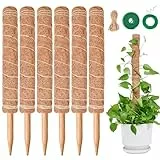 6 Stück 40CM Moosstab Monstera, SproutMaven Verlängerba Monstera Rankhilfe für Pflanzen, Kokos Pflanzenstab Monstera Moss Pole für Garten Kletterpflanzen Zimmerpflanzen